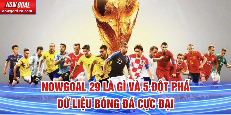 Nowgoal 29 là gì